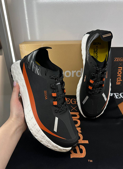 Аксессуар Zegna (41)