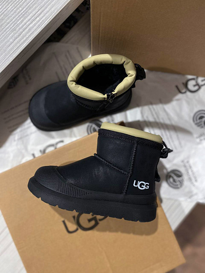 Аксессуар UGG  (25)